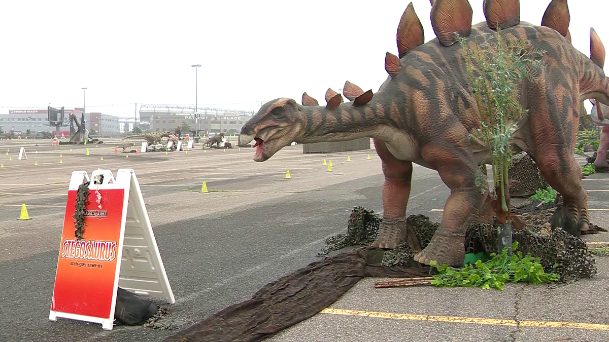 gillette stadium dinosaurs