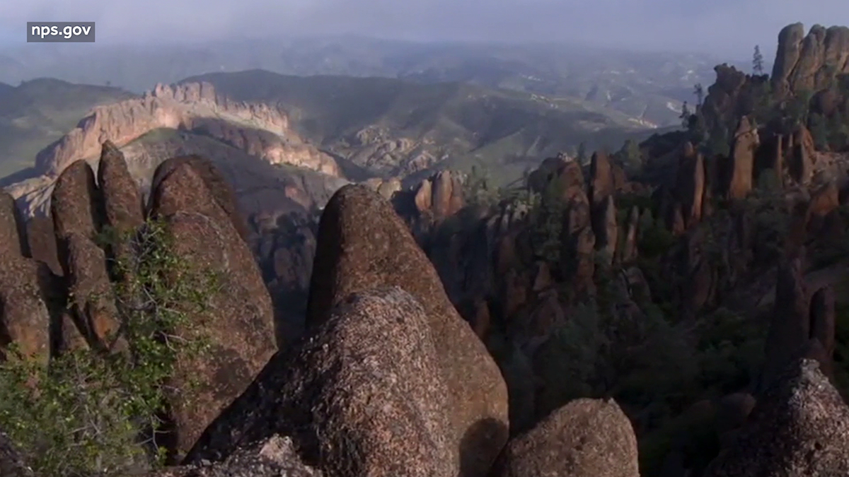 Really don’t fail to remember to look up from the picturesque landscape at Pinnacles National Park