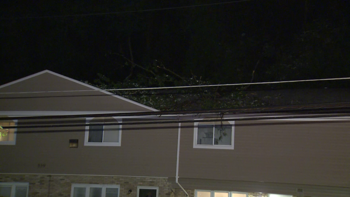 Tree comes down onto apartment building in Castle Shannon