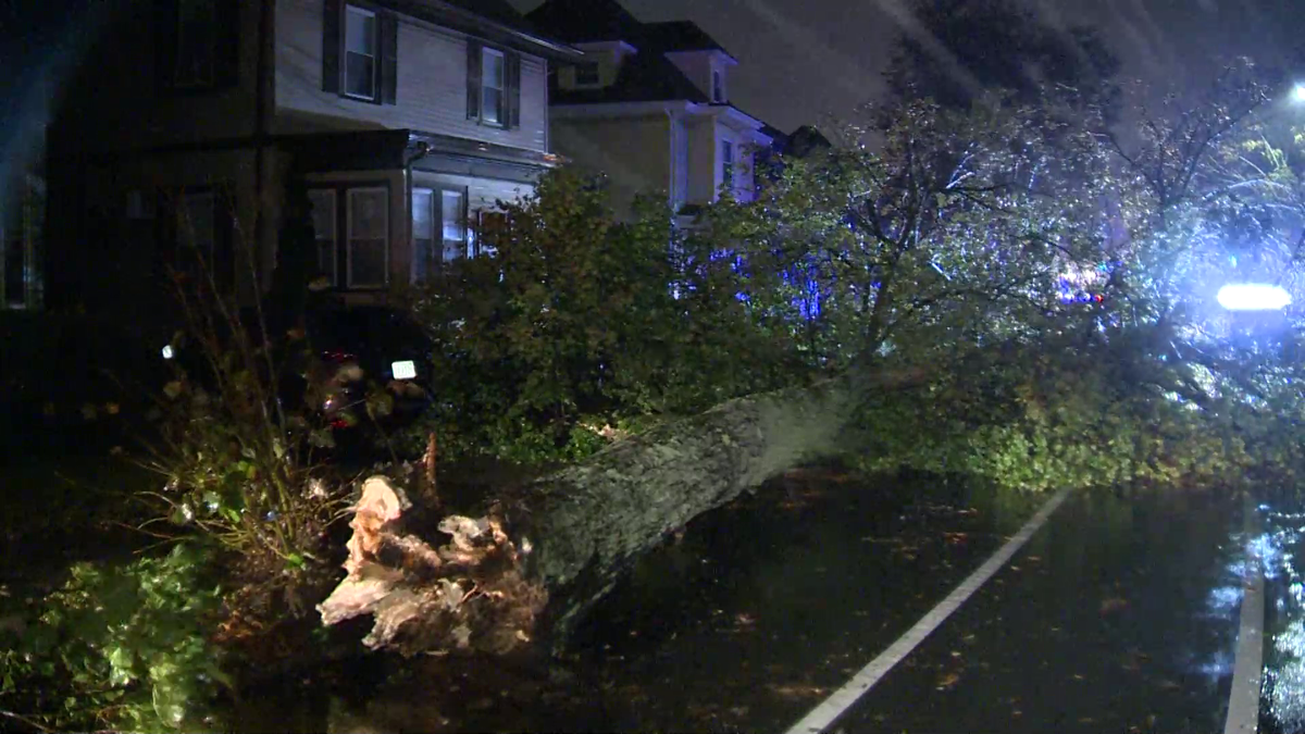 Images: Storm downs trees, power lines across Massachusetts
