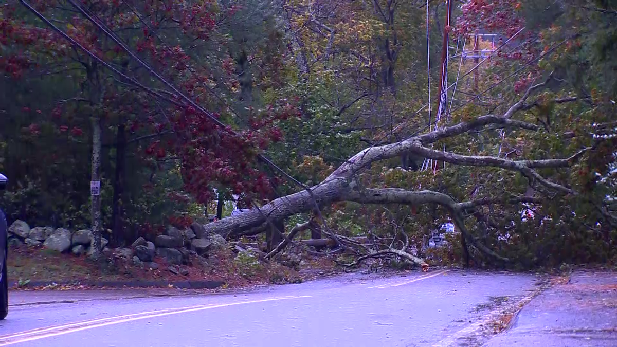 Images: Storm downs trees, power lines across Massachusetts