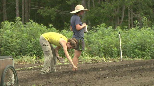 Forecasting the Future: Changing forecast impacting way New Englanders garden - Vimarsana News