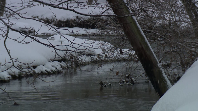 Some in Washington Co. expected to be without power for 3 days - Vimarsana News