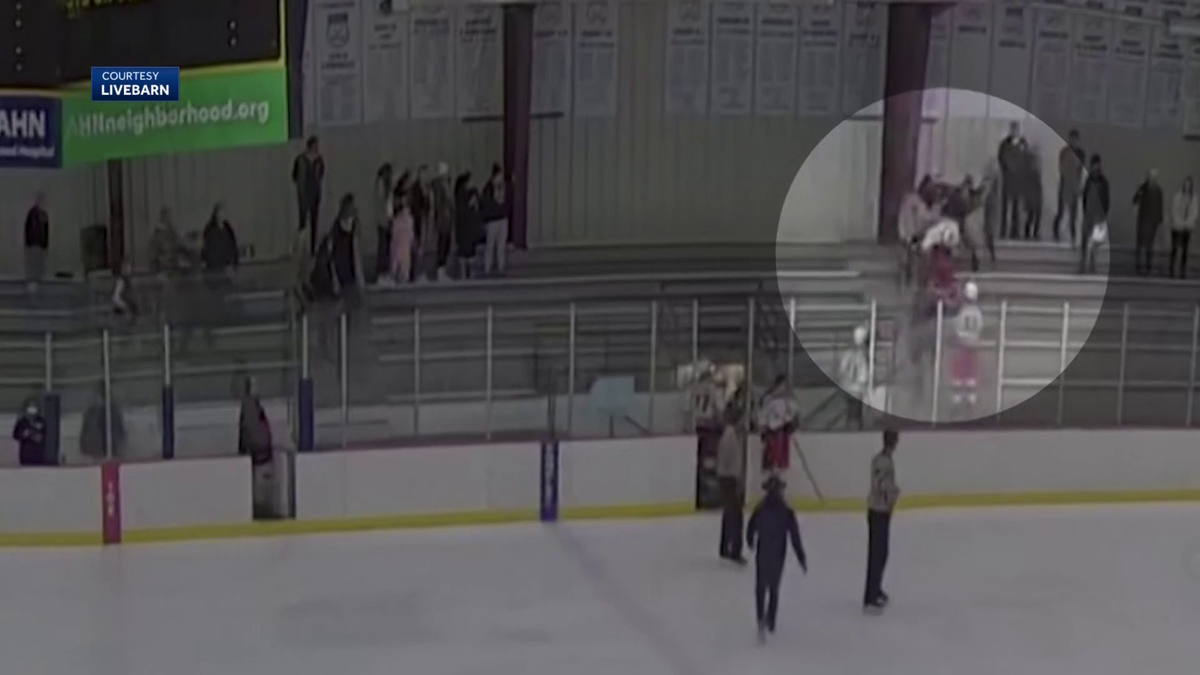 Pittsburgh-area youth hockey player enters stands to fight at game, faces discipline