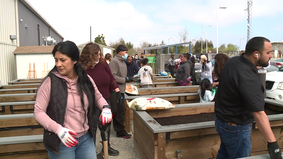 Share Center in Salinas unveils a garden to grow fresh produce