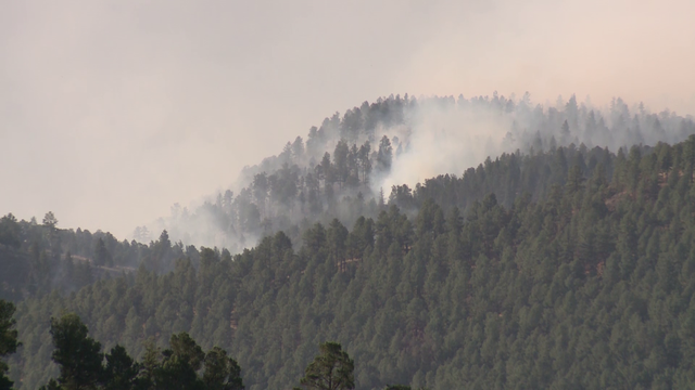 New Mexico wildfire claims lives of elderly couple attempting to evacuate - Vimarsana News