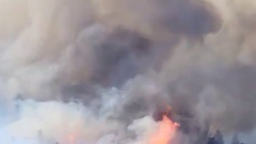 New Mexico Wildfires: Here's the latest on wildfires burning in New Mexico - Vimarsana News