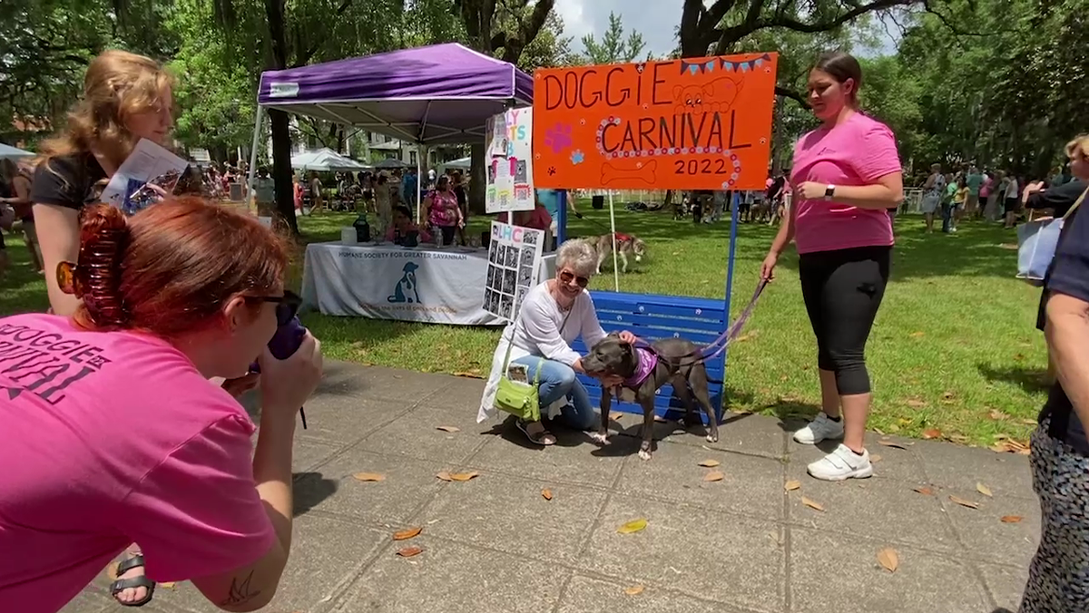 Savannah Humane Society hosts annual 'Doggie Carnival'