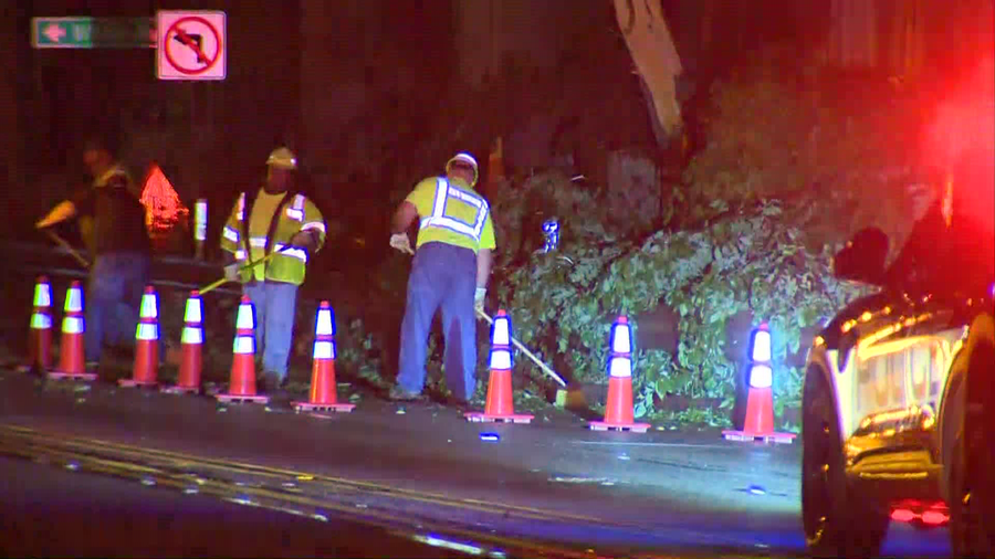 tree falls on route 65 in sewickley