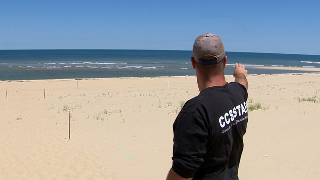 tracking&#x20;technology&#x20;is&#x20;giving&#x20;5&#x20;investigates&#x20;a&#x20;new&#x20;look&#x20;at&#x20;just&#x20;how&#x20;extensive&#x20;shark&#x20;activity&#x20;is&#x20;off&#x20;the&#x20;coast&#x20;of&#x20;the&#x20;outer&#x20;cape.