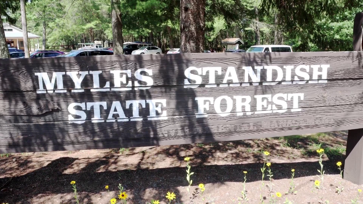 DCR employee at Myles Standish State Forest slashed in face after ...