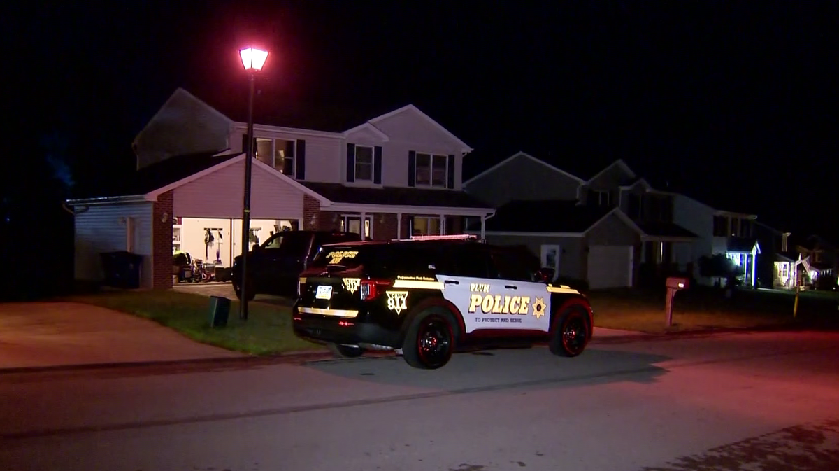 1yearold Plum Borough child dies after fall from window