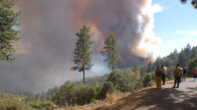 Video: Mosquito Fire flare-up shoots column of smoke into air - Vimarsana News