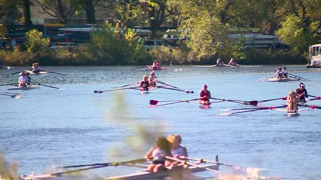 Insider's guide to this weekend's storied Head of the Charles regatta - Vimarsana News
