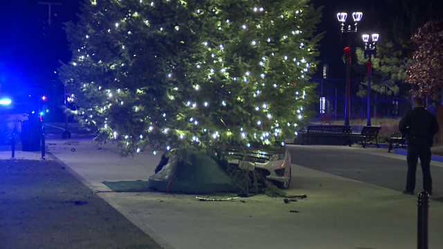 Car crashes into Christmas tree in East Milton Square - Vimarsana News