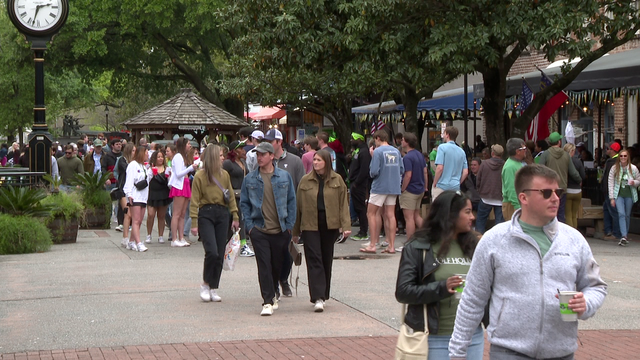 St. Patrick's Day brings a boost in business to Savannah - Vimarsana News