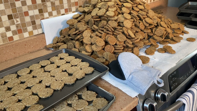 Beer-brewing grains turned into delicious dog treats at Brew Biscuits - Vimarsana News