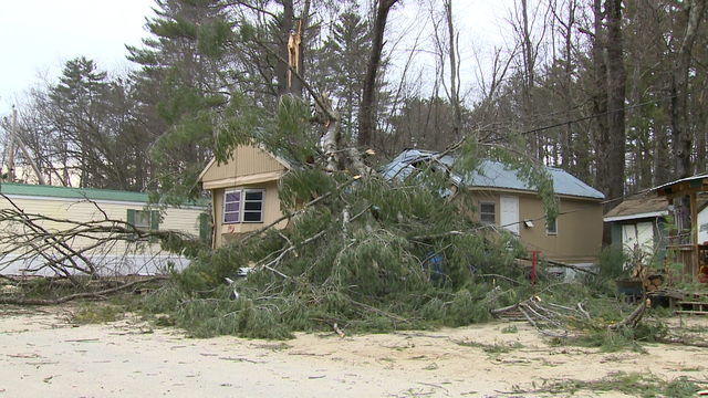 Tree falls on Warner, NH home with one person inside - Vimarsana News