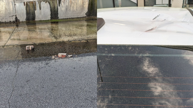Savannah woman says someone threw a brick at her car from above - Vimarsana News