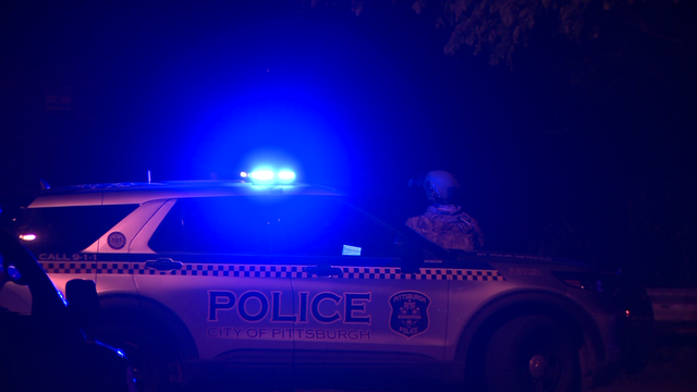 Police search for suspects in Bon Air kidnapping - Vimarsana News