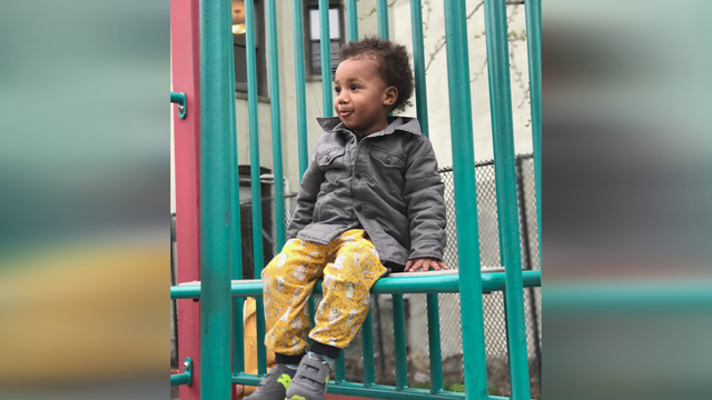 Kids' clothing line was happy accident for Massachusetts mom who founded Hedgehog Belly Design - Vimarsana News