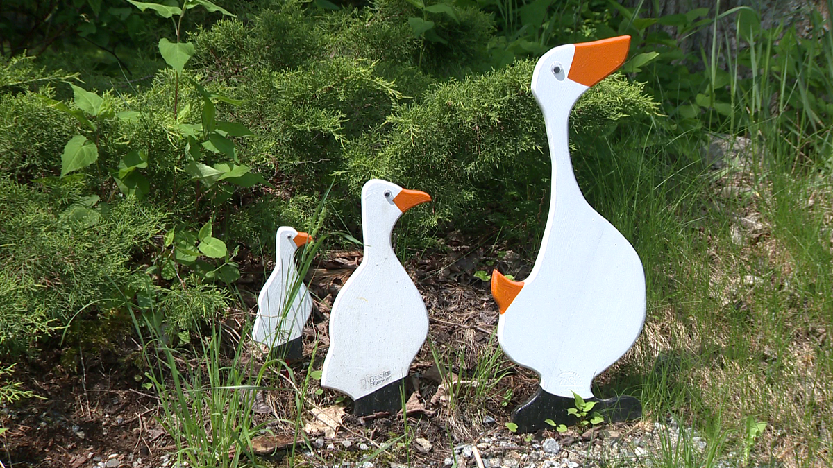 Wood lawn ducks made in Mass. make positive impact on those fighting cancer