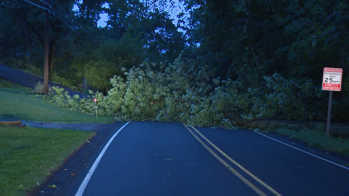 Cleanup underway across the region after Thursday's storm