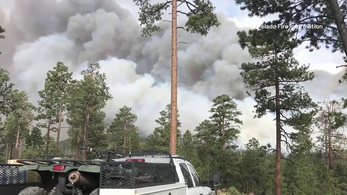 Cerro Pelado Wildfire caused by smoldering prescribed burn