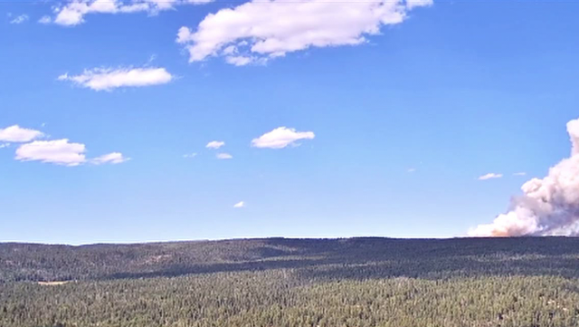 Black Feather Fire grows to 1,500 acres; evacuations possible - Vimarsana News