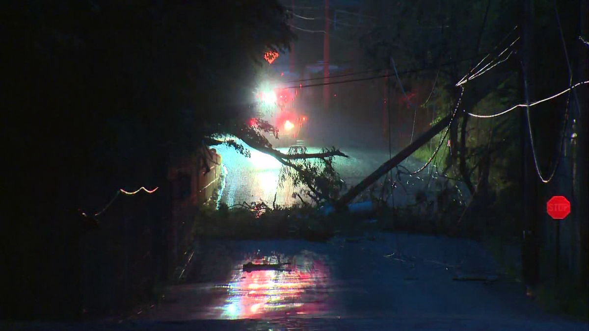 Trees come down, knocking out power in parts of Beaver County