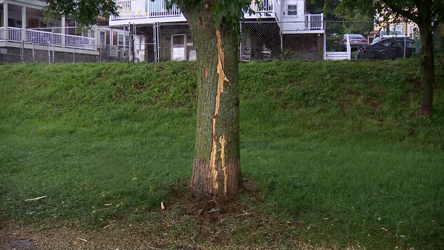 State Police: Woman struck by lightning near beach in Mass. - Vimarsana News