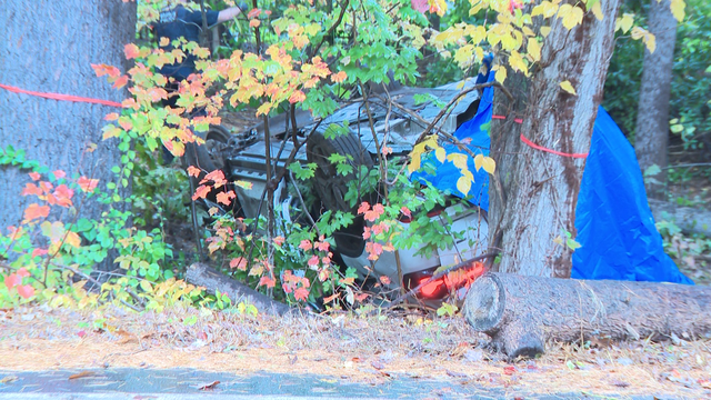 Police: Woman who died in crash in Nashua identified - Vimarsana News