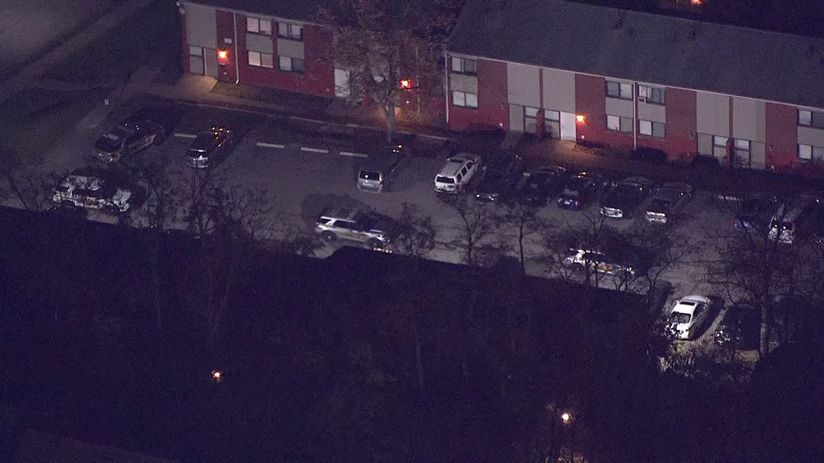 Suspect in custody after woman is shot in the head in Pittsburgh