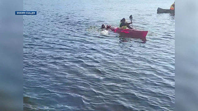 NHDOT workers rescue drowning man from Lake Winnipesaukee - Vimarsana News