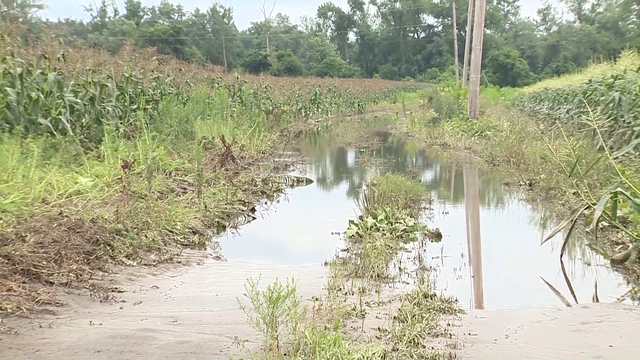 Warm spells, lack of snowpack contributing to recent crop losses - Vimarsana News