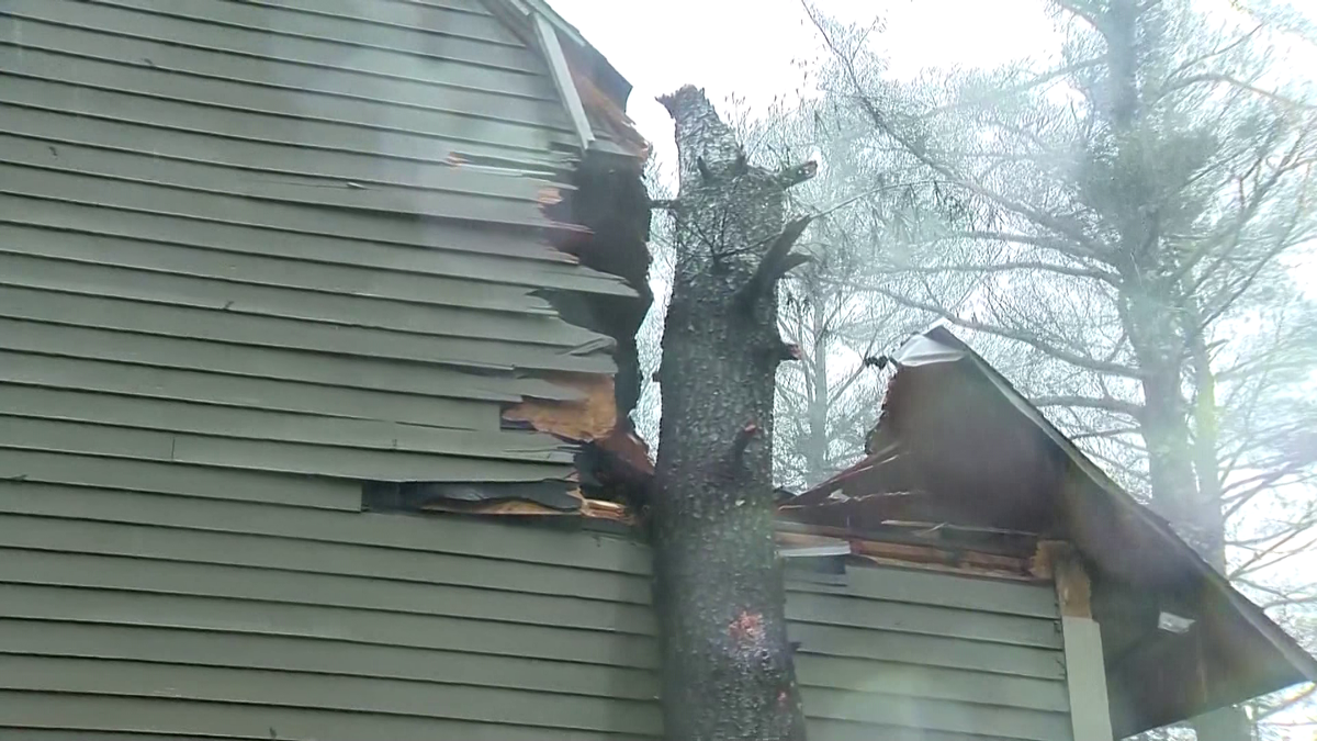 Cleanup efforts continue after storm downs trees, power lines