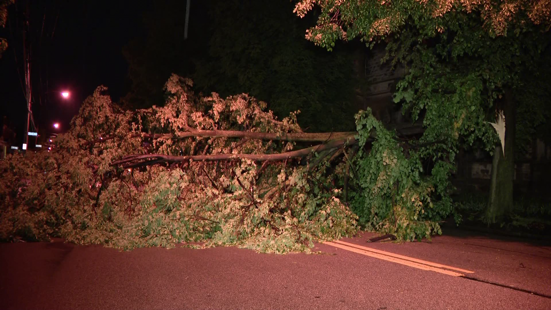 Tree Comes Down Blocking Road On Pittsburgh S North Side Vlcsnap 2024 05 08 05h19m30s681 663b43b702f65