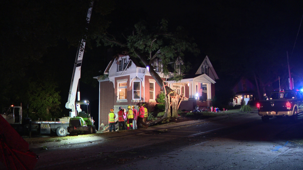 Tree comes crashing down on house in Westmoreland County