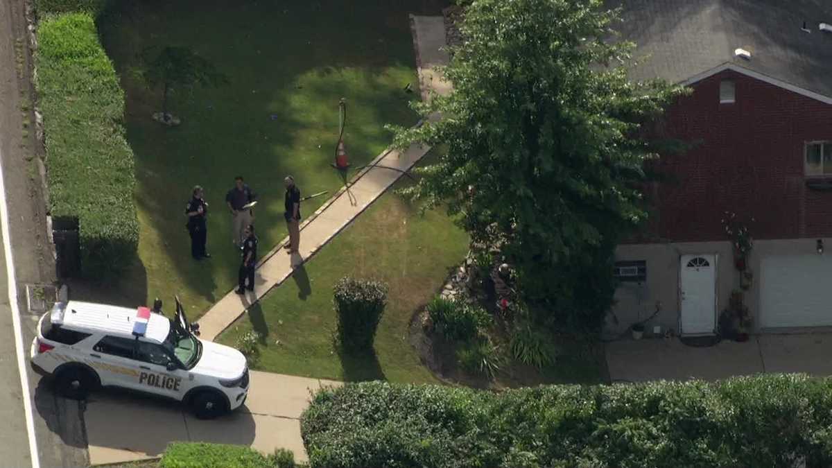 Penn Hills teen stabbed, suspect in custody