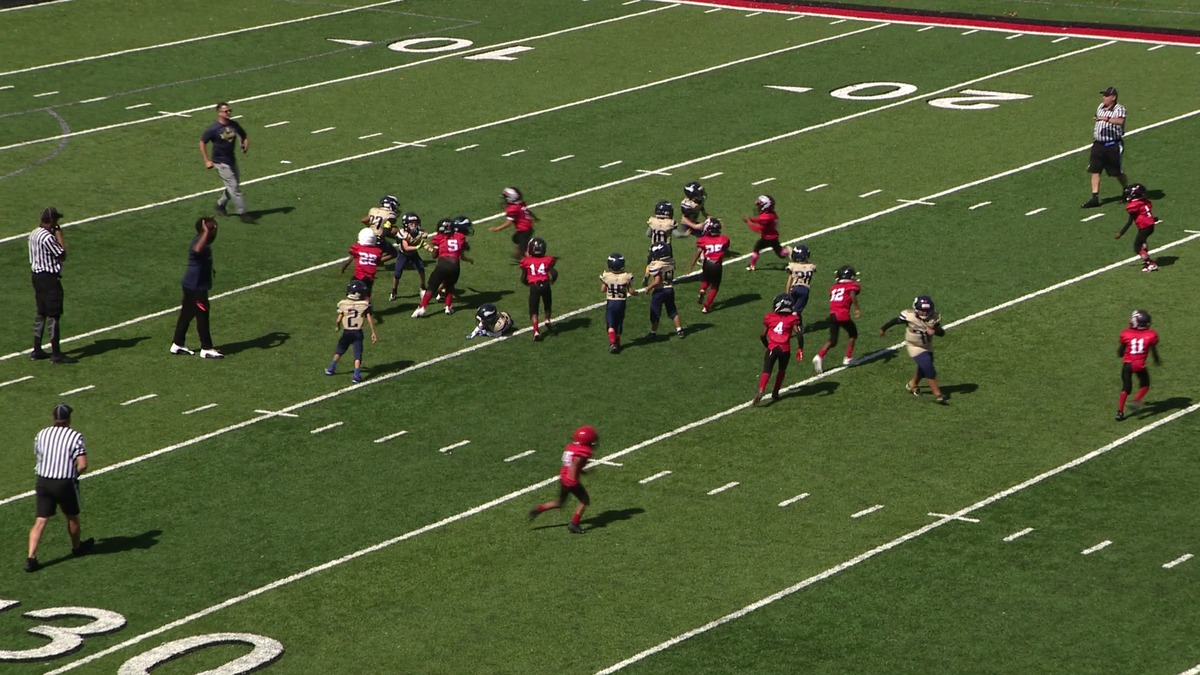 Aliquippa's Little Quips football program has been reinstated Aliquippa's Little Quips football program has been reinstated