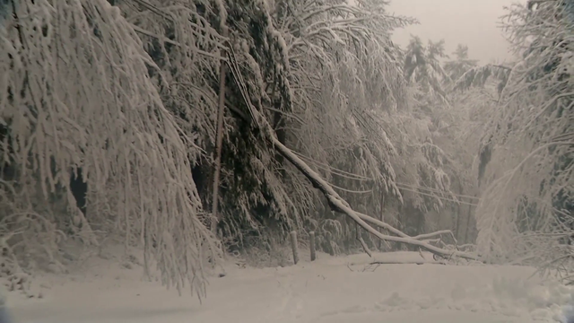 Icing from storm could cause power outages in New Hampshire, Eversource says