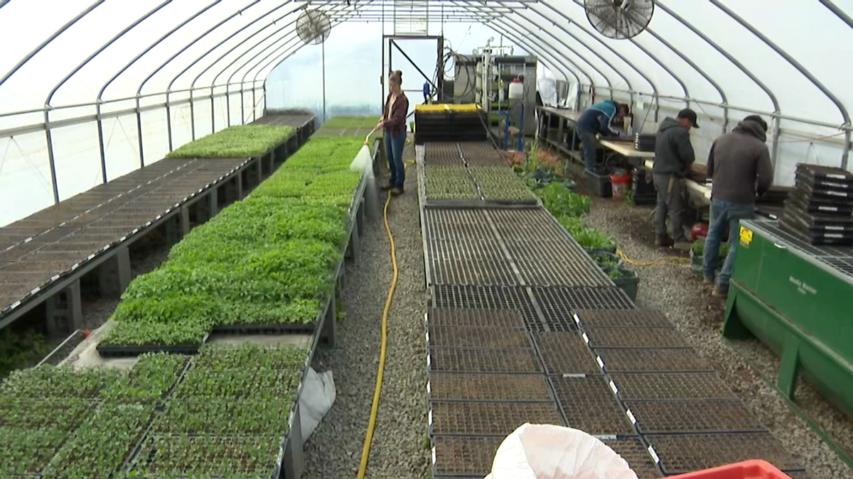 USDA cuts could significantly impact on food-insecure Marylanders