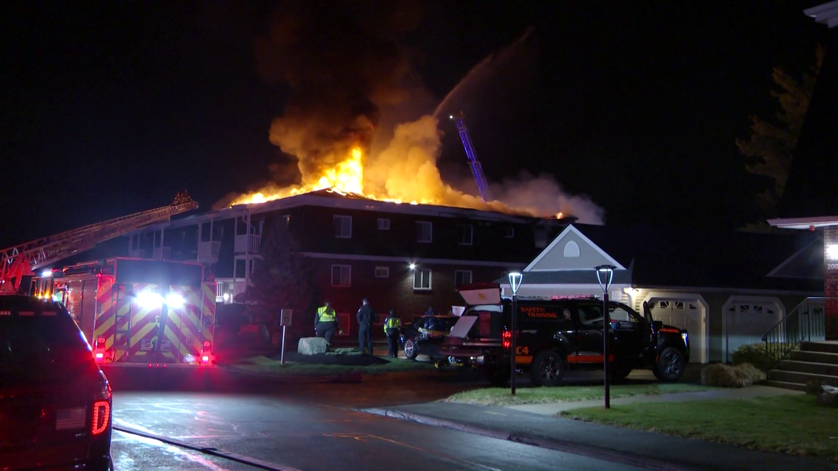Firefighters Battle Multi-Alarm Blazes in Stoughton, Roseville