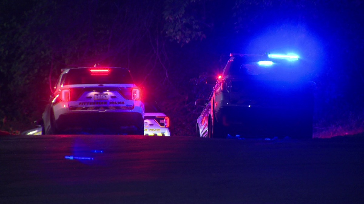 Man shot inside of home in Pittsburgh's East Hills neighborhood