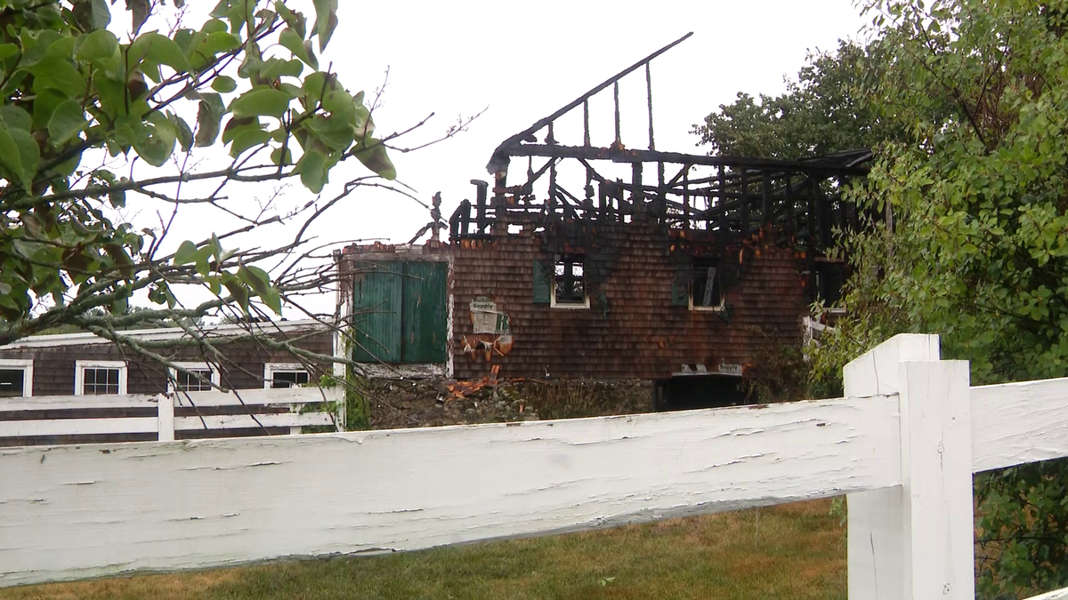 'Our hearts are broken': 8 horses die when fire tears through barn