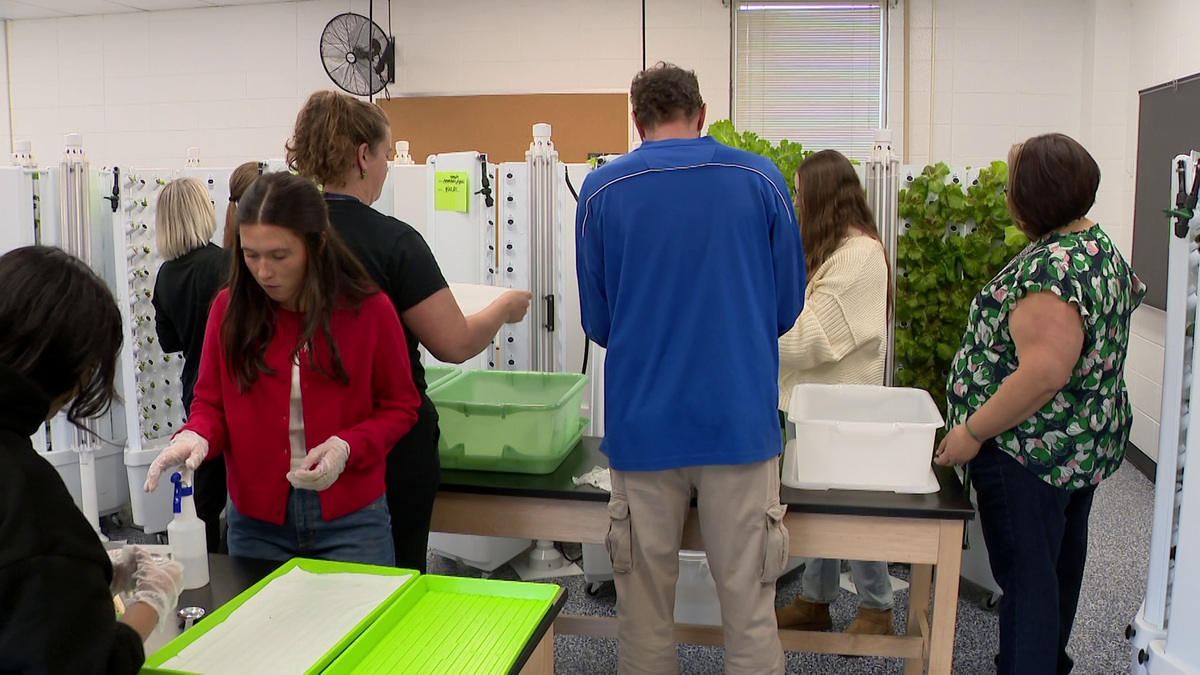 Germantown high school students harvest fresh produce in the classroom