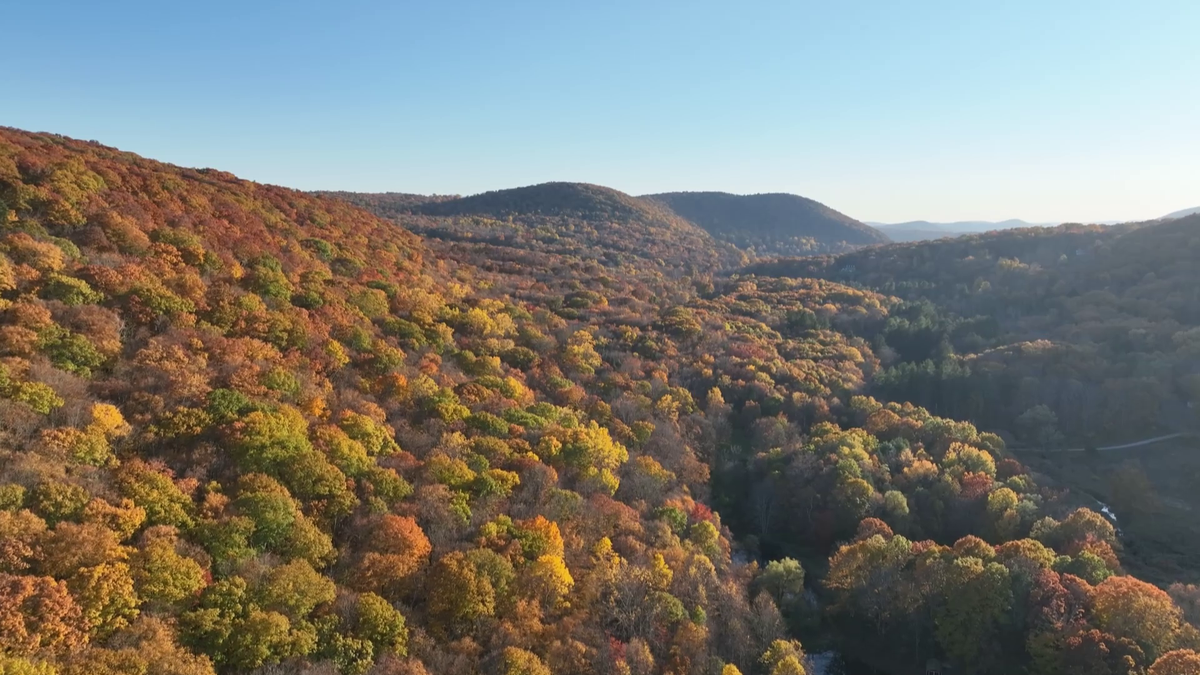 Norwich Virginia Plans Autumn Leaf Collection November 2025 to January 2026