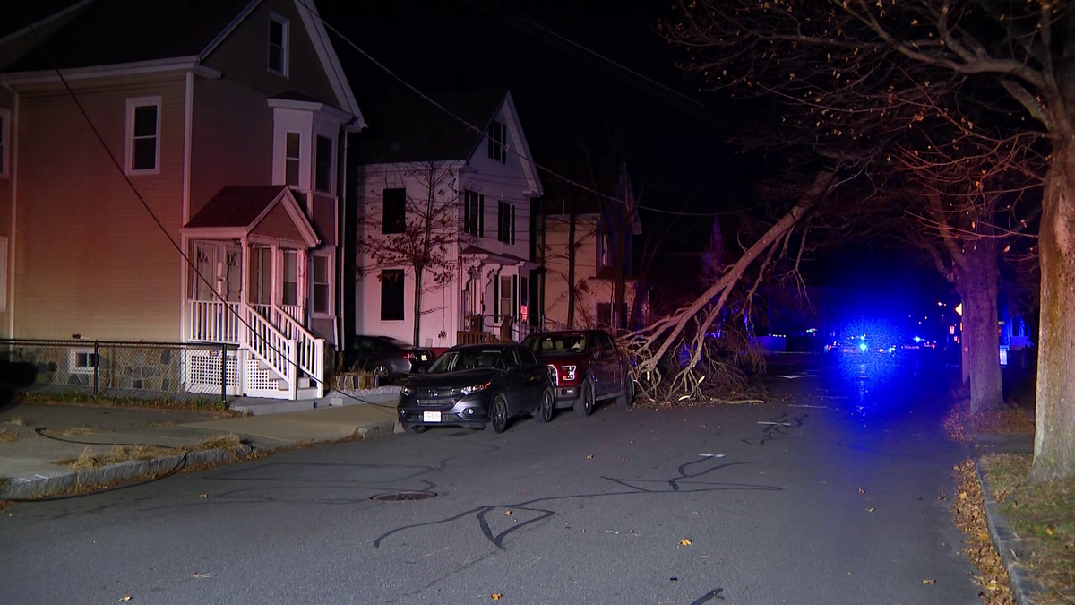 Thousands without power after wind takes down tree in Mass. city