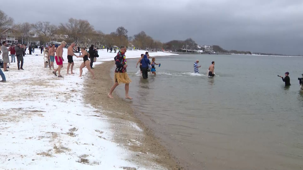 South Boston polar plunge draws hundreds