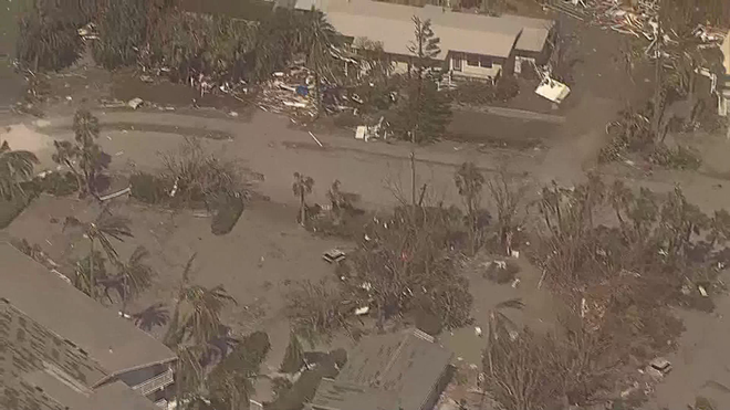Tree damage